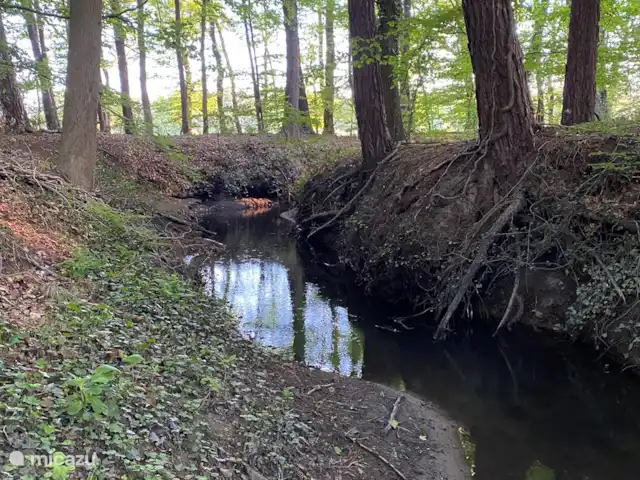 Meanderende natuurlijke beken doorkruisen het landschap